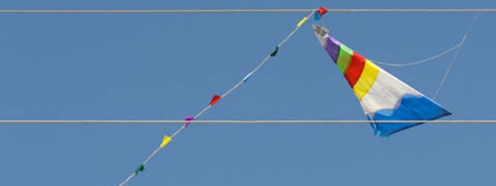 Kite Flying Threatens National Electricity Supply